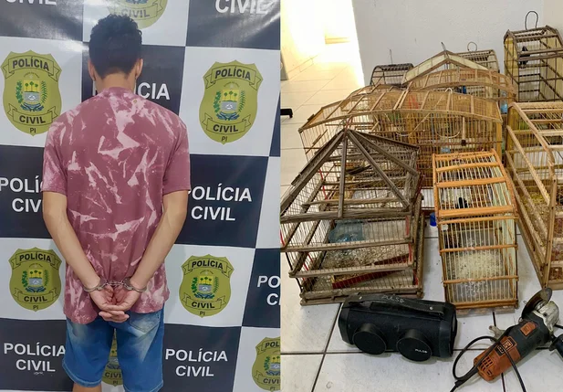 Acusado de furtas animal em Oeiras também mantinha pássaros em cativeiro