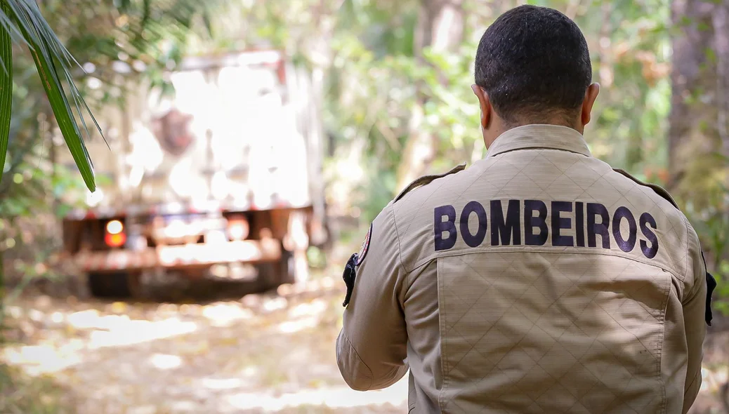Bombeiros no local das buscas
