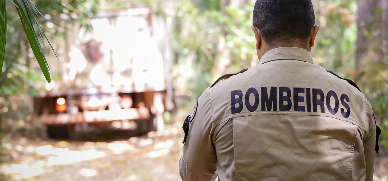 Bombeiros no local das buscas