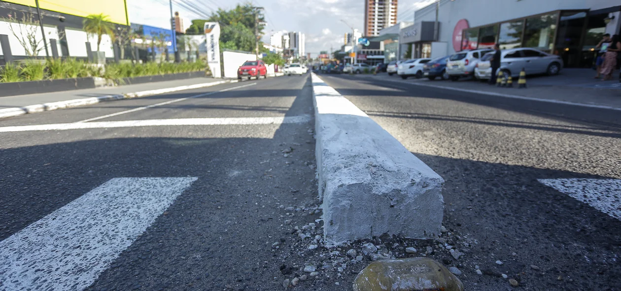 Canteiro central na Avenida Homero Castelo Branco em Teresina