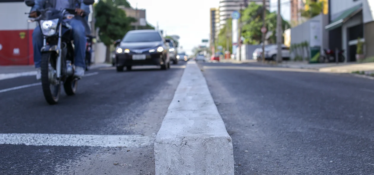 Canteiro é instalado na Avenida Homero