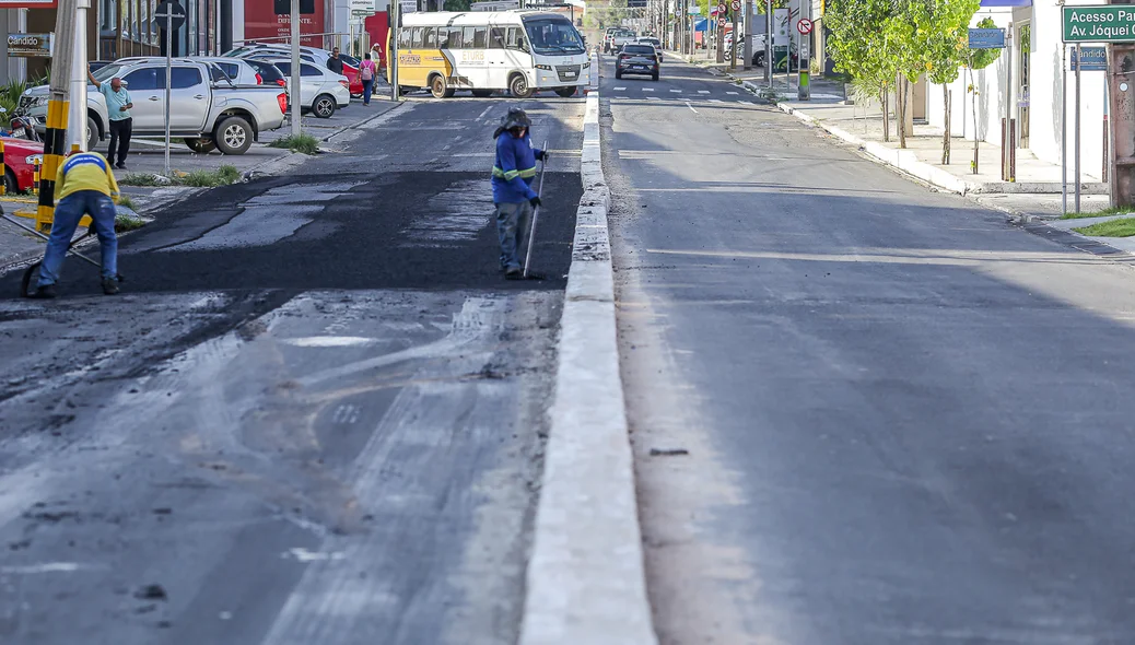 Canteiro na Avenida Homero Castelo Branco