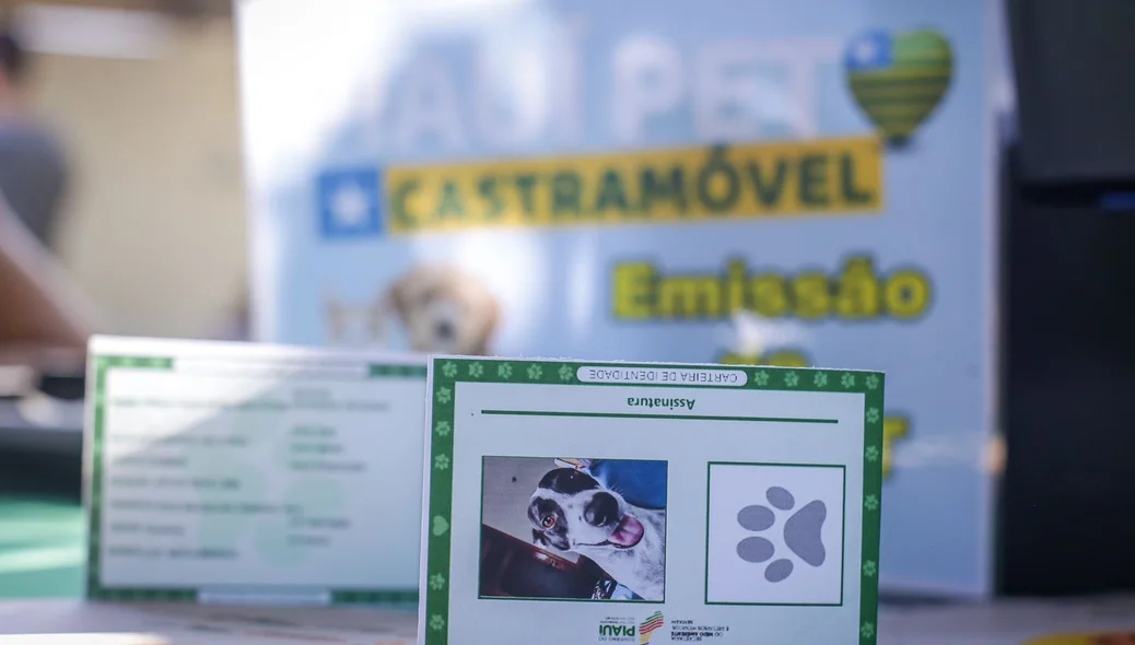 Carteira de identidade do pet