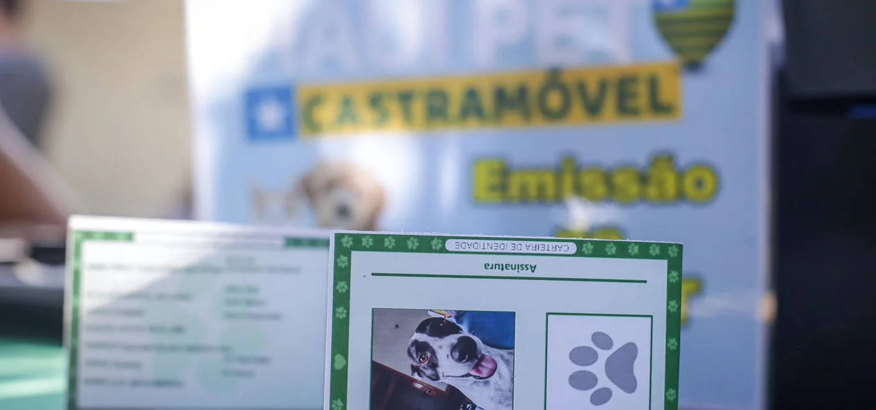 Carteira de identidade do pet