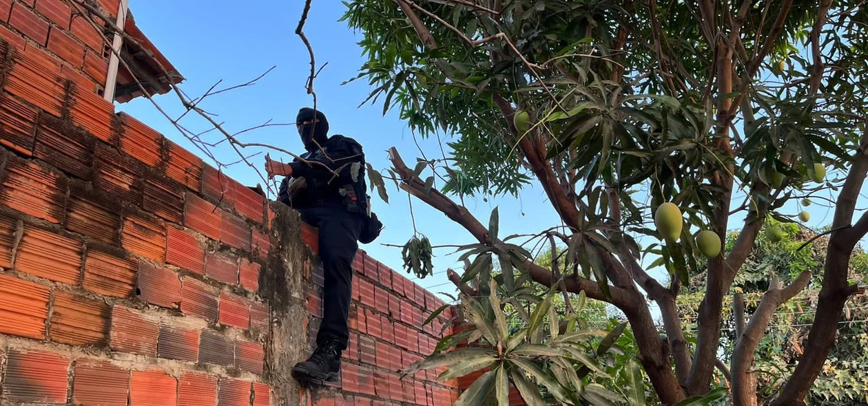 Diligências da Operação Cerco Fechado