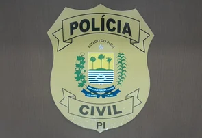 Polícia Civil indicia mulher de 42 anos por falsa denúncia de estupro contra genro em Uruçuí