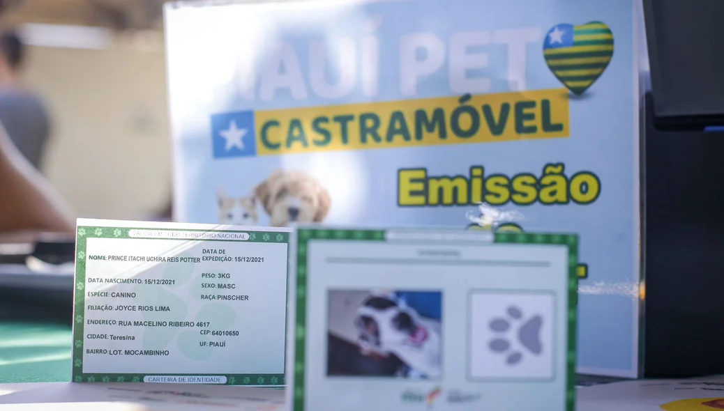 Emissão da carteira de identidade do animal de estimação