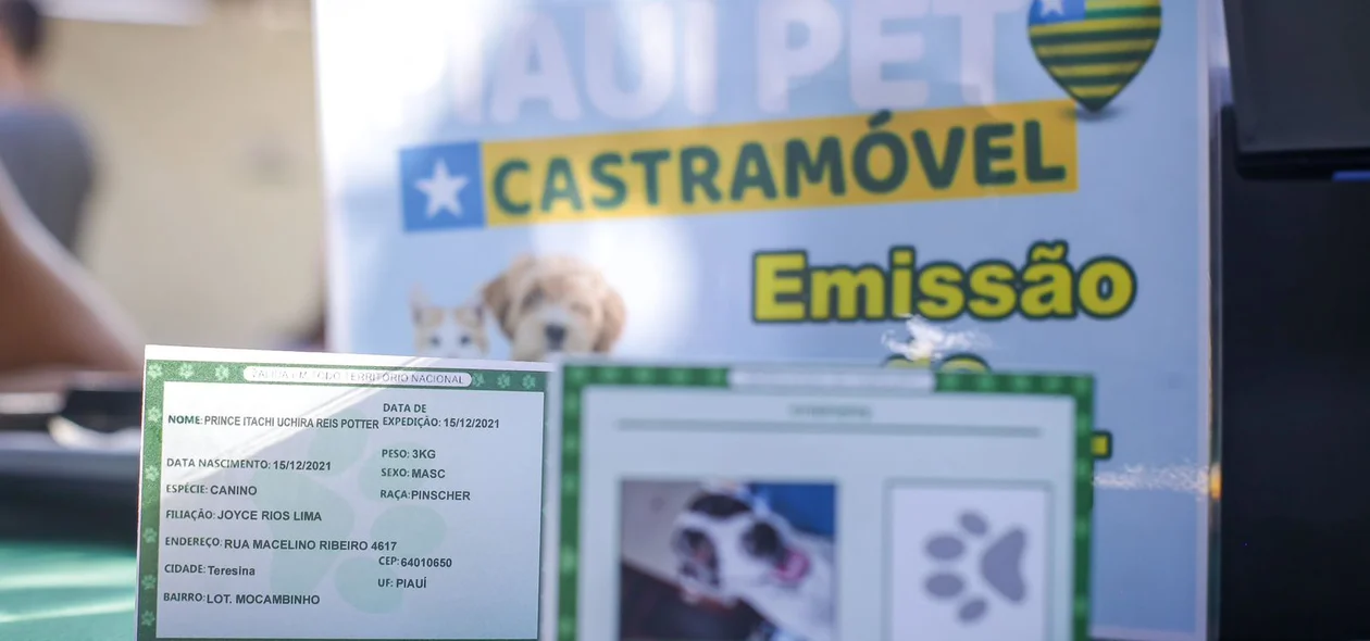 Emissão da carteira de identidade do animal de estimação