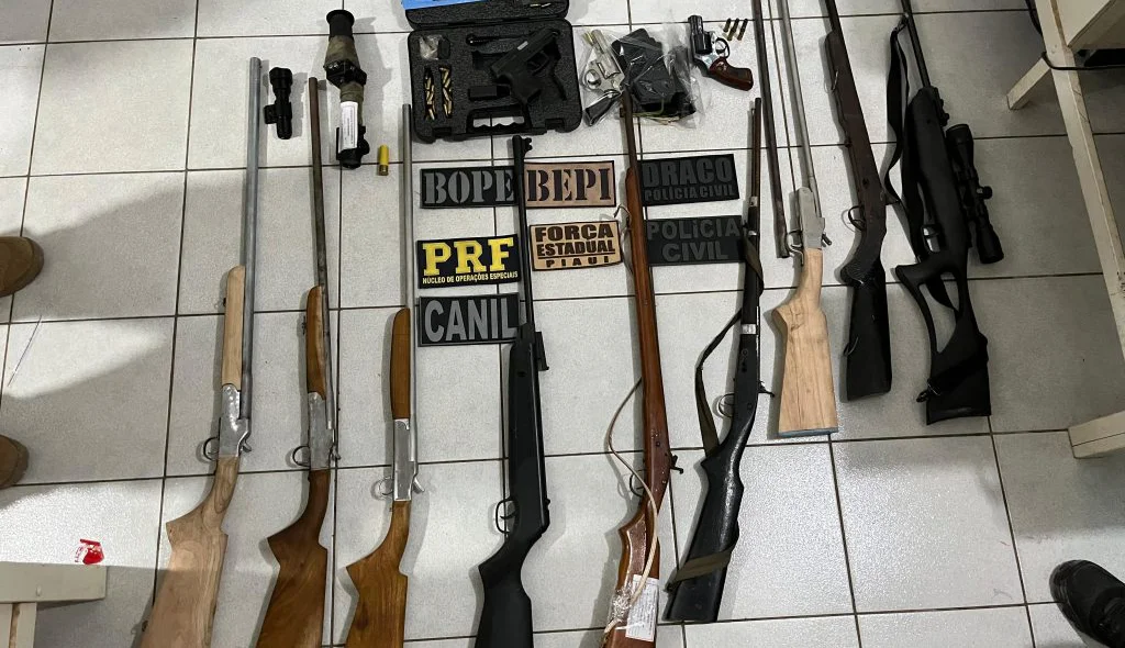 Foram apreendidas 12 armas de fogo