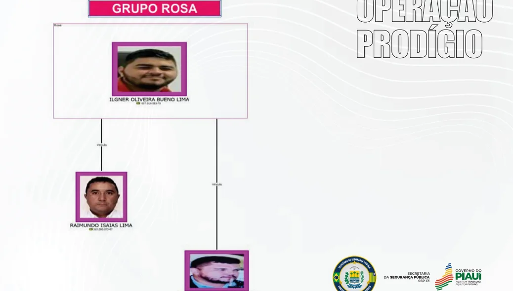 Grupo Rosa - Operação Prodígio