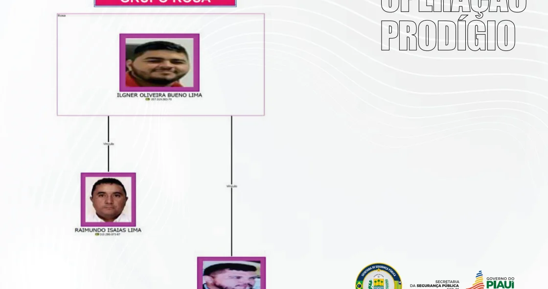 Grupo Rosa - Operação Prodígio
