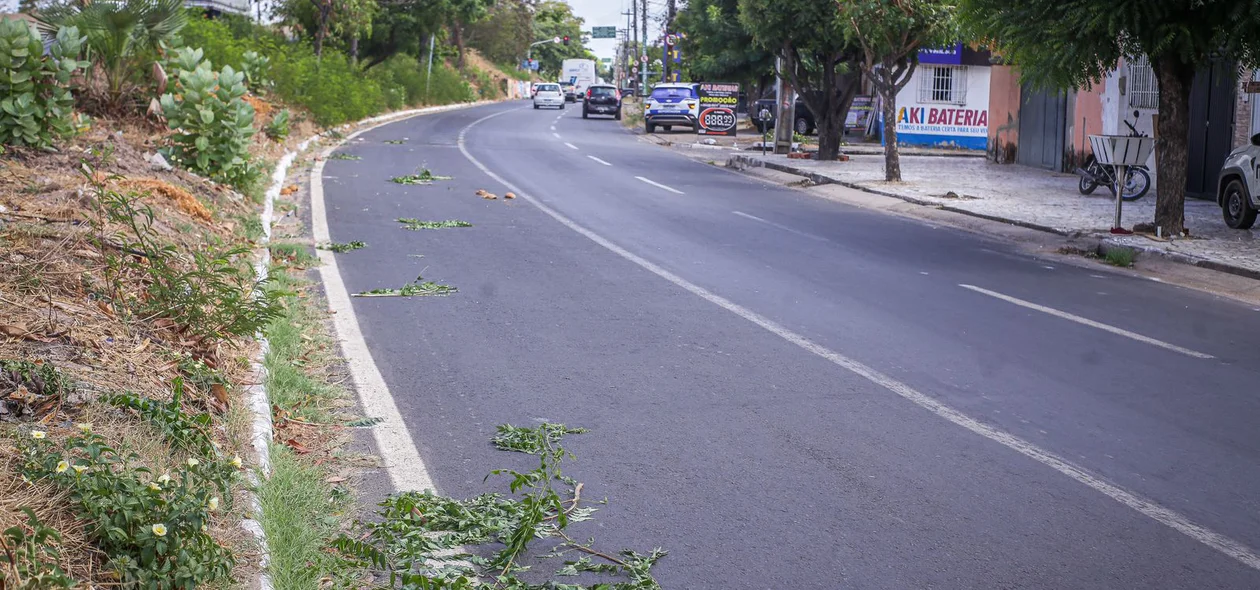 Local onde o veículo capotou