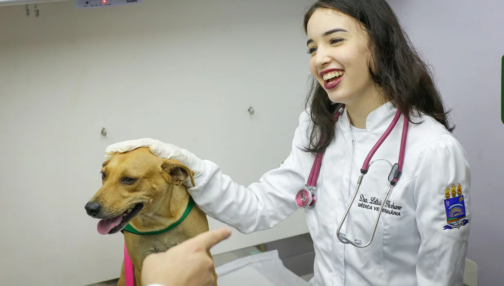Médica veterinária demonstra carinhão ao pet