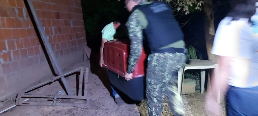 Momento em que os policiais resgatam os cães