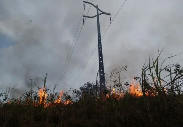 Número de queimadas próximo da rede elétrica aumenta em 83% no Piauí