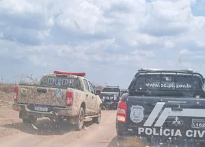 Operação da Polícia Civil no Sul do Piauí