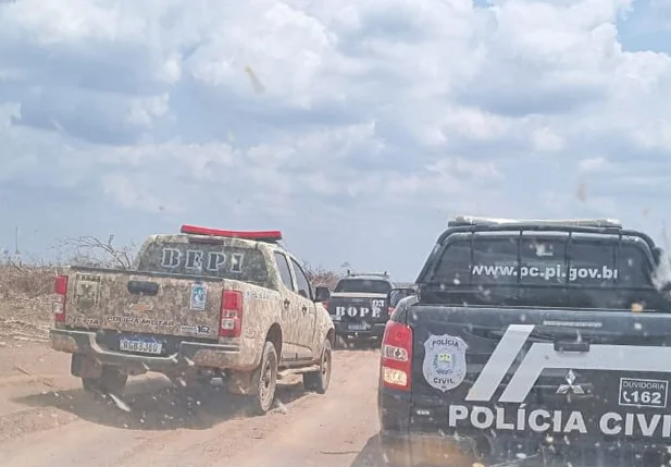 Operação da Polícia Civil no Sul do Piauí