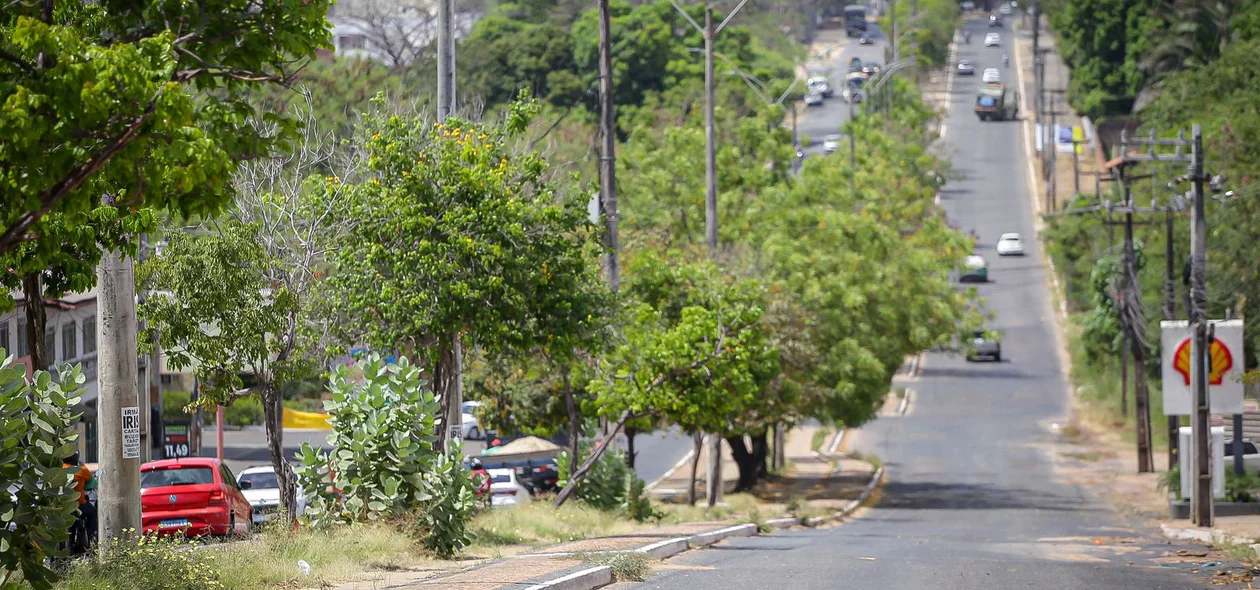 Parte da via foi interditada para solucionar o problema