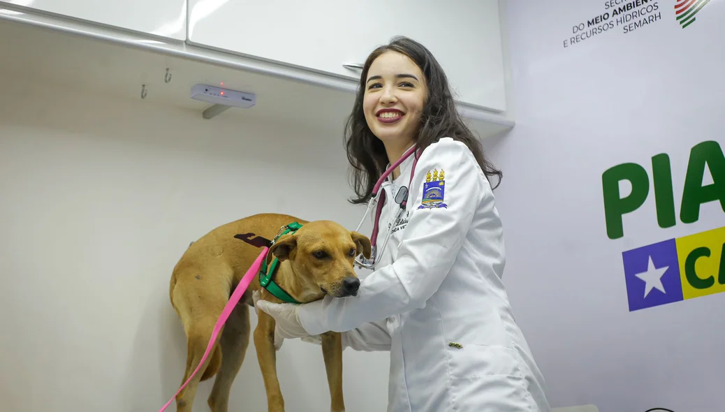 Pet deverá passar por castração