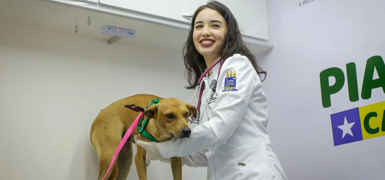 Pet deverá passar por castração