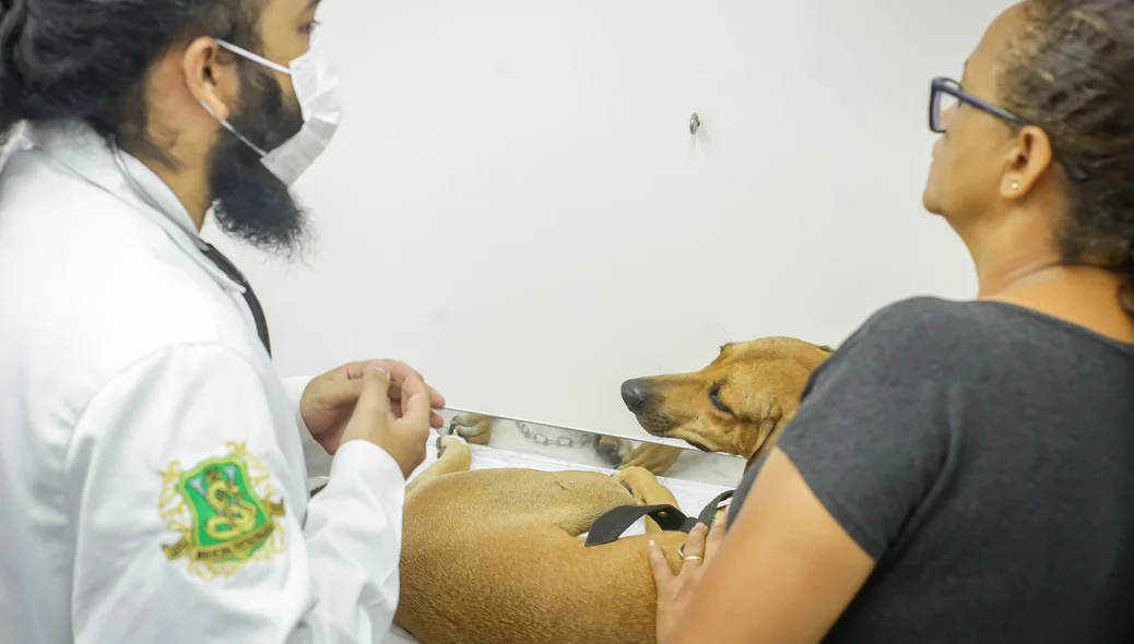 Pet passa por avaliação do estado de saúde