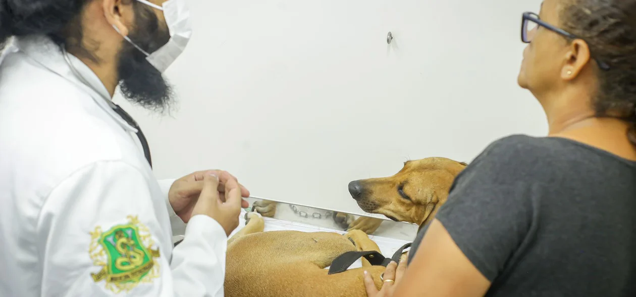 Pet passa por avaliação do estado de saúde