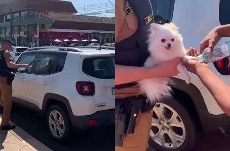 PM resgata cachorro deixado preso dentro de carro no Paraná
