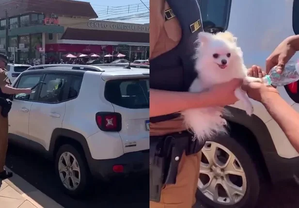 PM resgata cachorro deixado preso dentro de carro no Paraná
