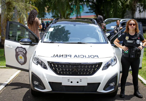 Polícia Penal do Piauí