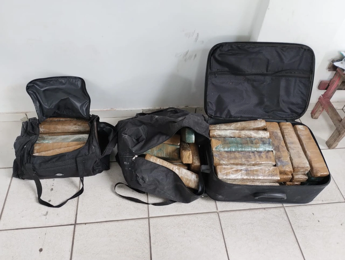Quantidade de entorpecentes incinerados pela Polícia Civil do Piauí