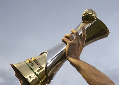 Troféu da Série D