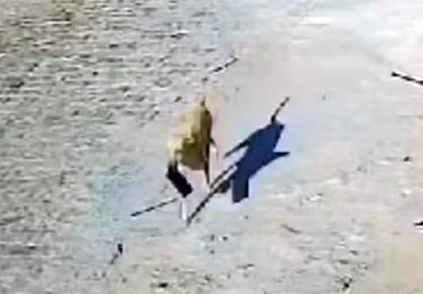 Cachorro foi visto carregando o aparelho