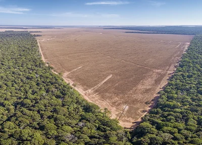 Desmatamento no Cerrado