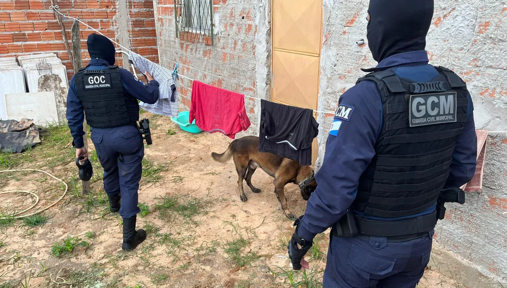 Equipes da Guarda Municipal de Teresina auxiliaram os policiais do DRACO