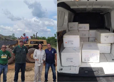 Fiscais da Adapi constataram diversas irregularidades no transporte dos camarões