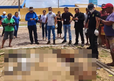 Gatos e cachorros foram encontrados mortos dentro de sacolas no Terminal Rodoviário de Parnaíba