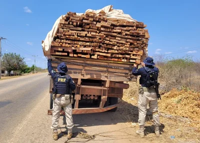 Madeira ilegal apreendida pela PRF 2023