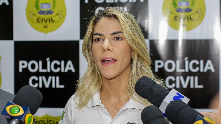 Nathália Figueiredo, Delegada de Polícia Civil