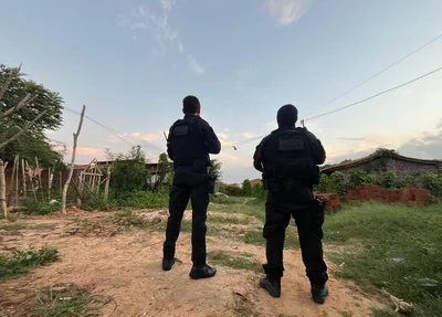 Operação DRACO 91