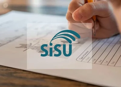 Sisu