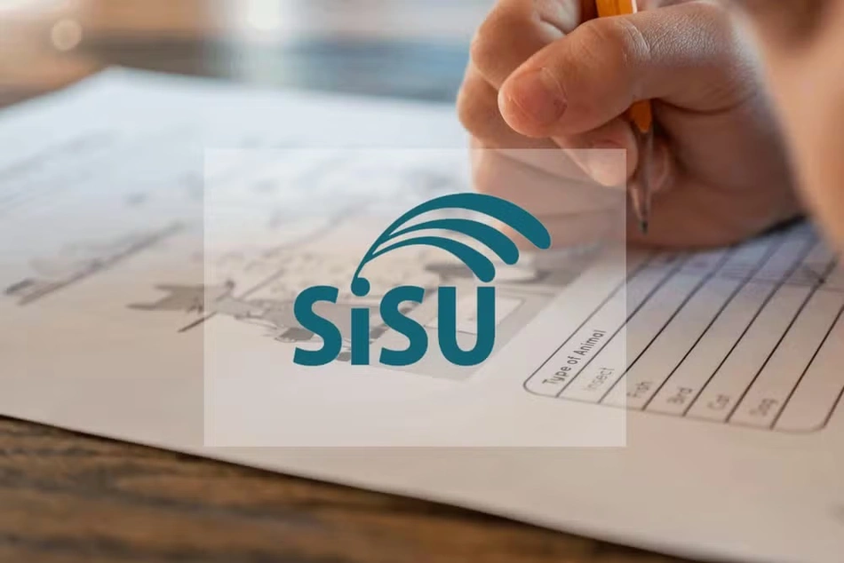 Sisu