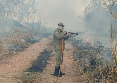 Bombeiros debelam chamas em terreno na UFPI