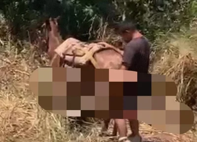 Homem foi visto praticando zoofilia com égua em Picos