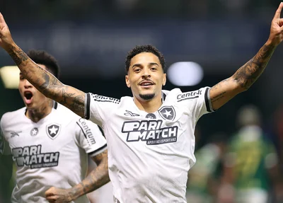 Botafogo vence Palmeiras e abre vantagem na luta pelo título do Brasileirão
