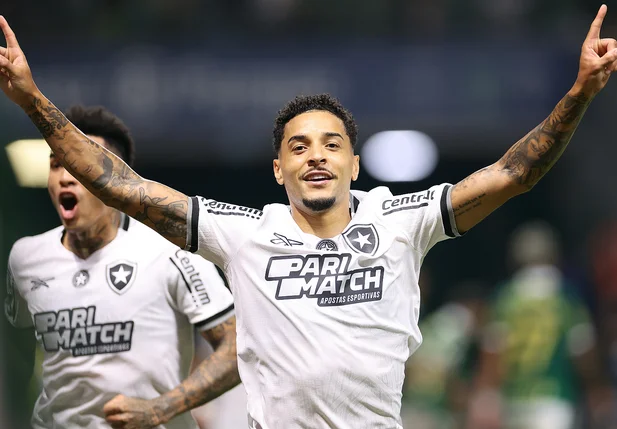 Botafogo vence Palmeiras e abre vantagem na luta pelo título do Brasileirão
