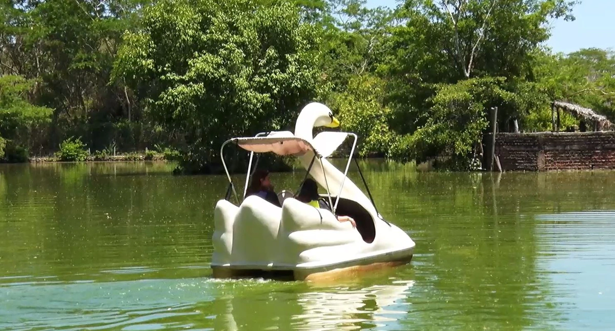 Pedalinho no Bioparque Zoobotânico: o maior parque urbano do Nordeste