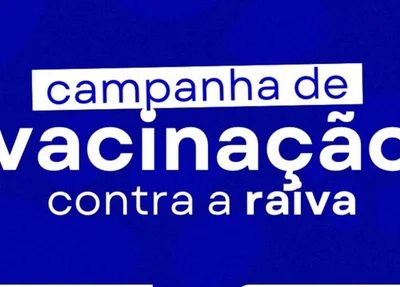 Prefeitura de Uruçuí vai promover campanha de vacinação contra raiva