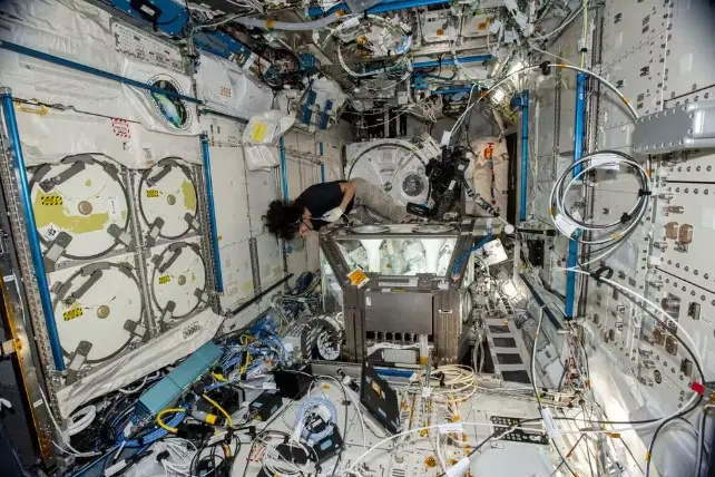 Astronauta trabalha em tecnologia para produção de células-tronco