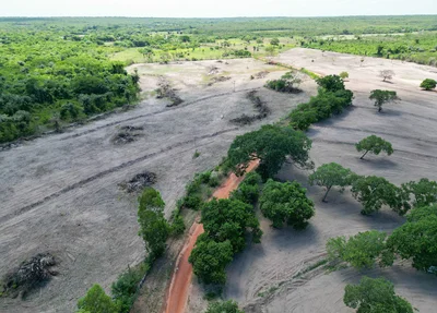 Área de desmatamento ilegal no Norte do Piauí