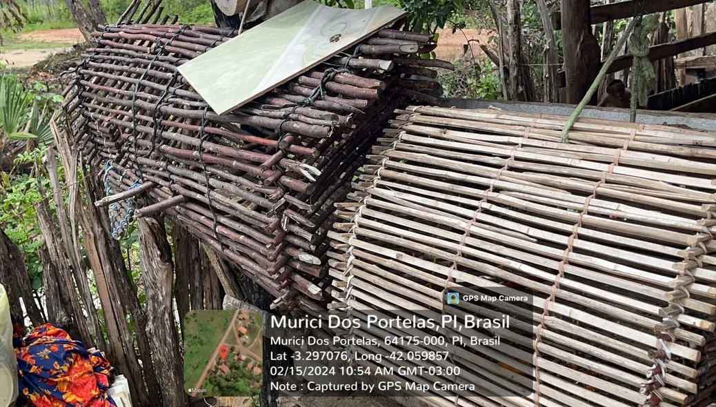 Bichos apresentavam sinais de pouca alimentação